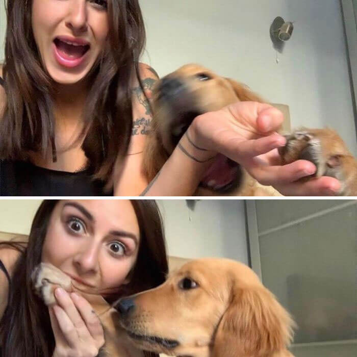 30 Adorable Pictures Depict The Loving Relationship Between A Woman And Her Dogs