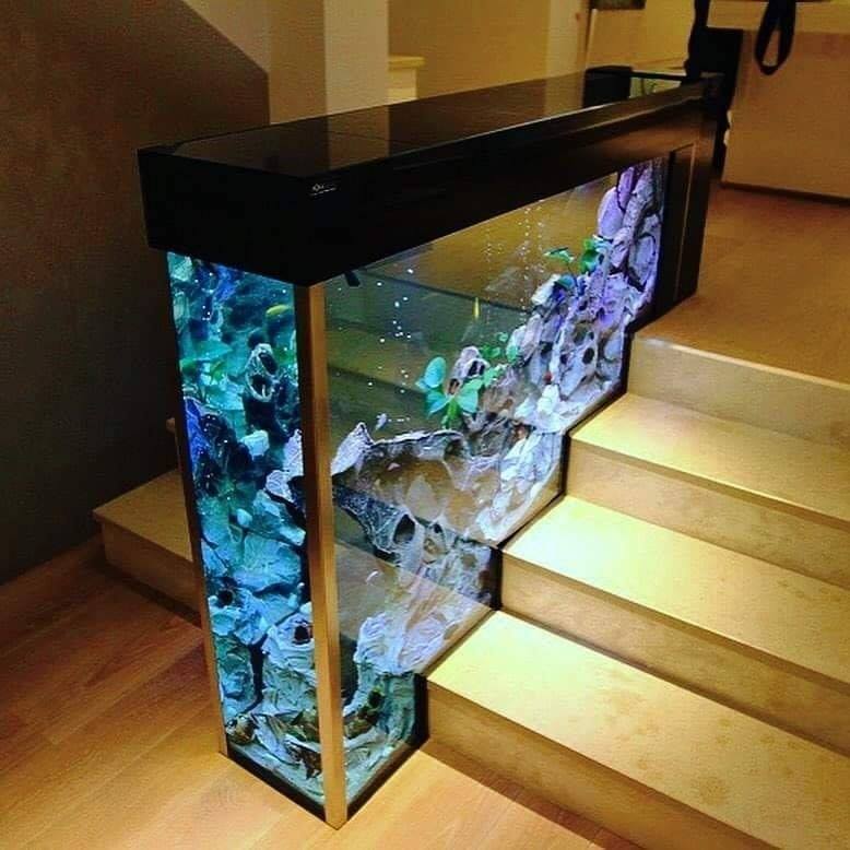 46 Desain Aquarium Cantik dan Unik Anti-mainstream - Rumahku Unik