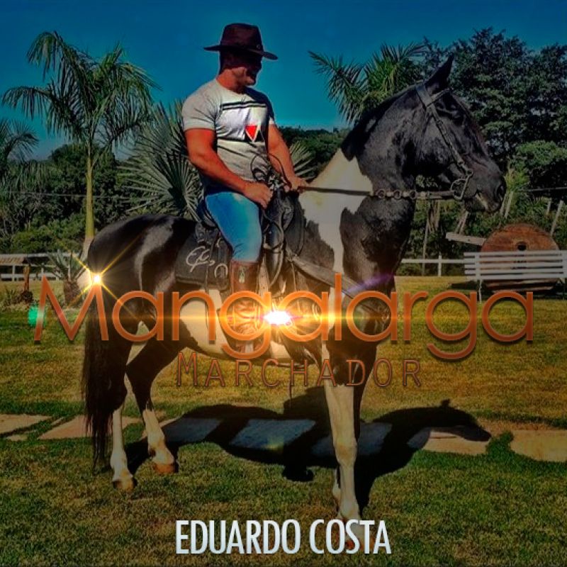 Baixar Música Mangalarga Marchador – Eduardo Costa Baixar Música Mangalarga Marchador – Eduardo Costa