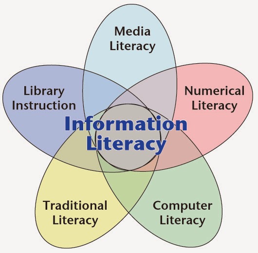 literature review on information literacy
