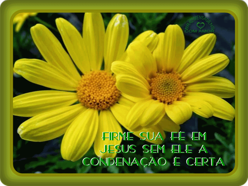 SDDC.gif%E2%80%9D