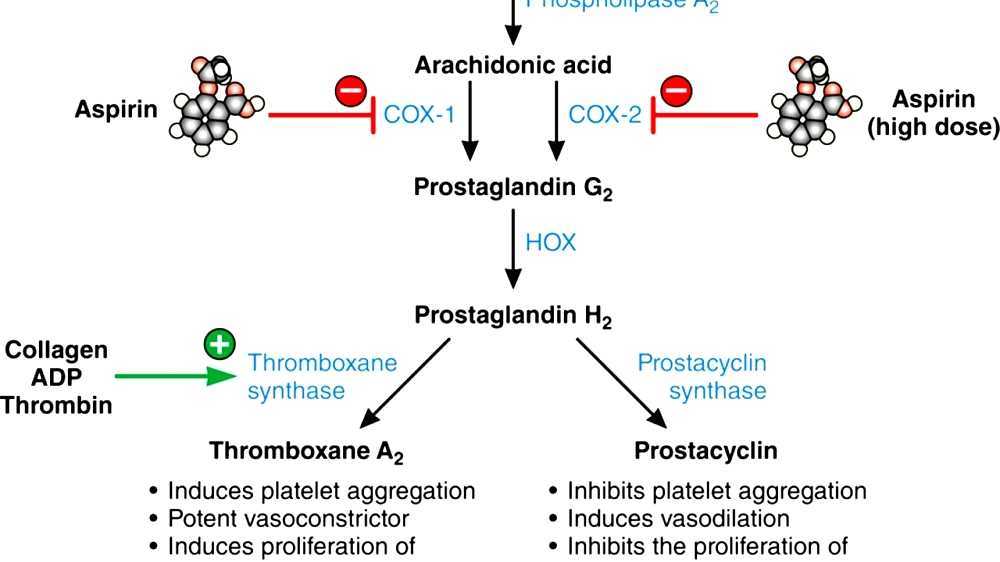 Mechanism of action of aspirin