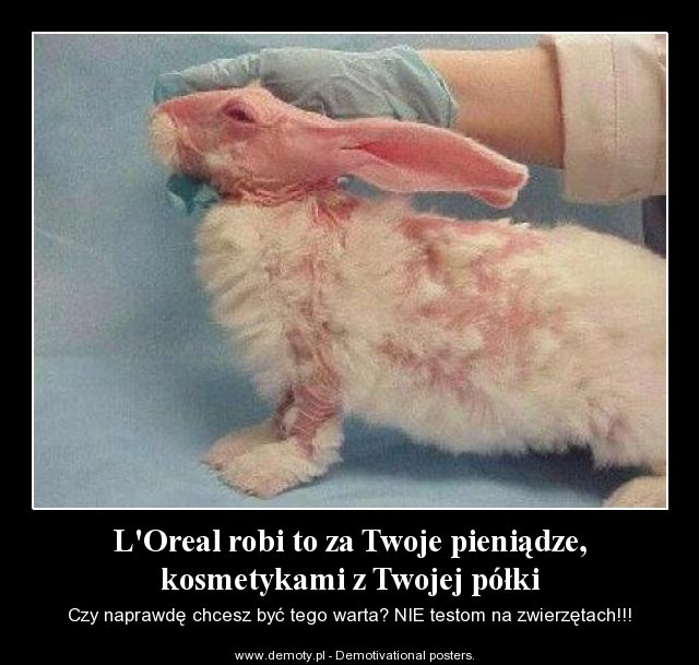 Firmy testujące kosmetyki na zwierzętach (2016) - lista