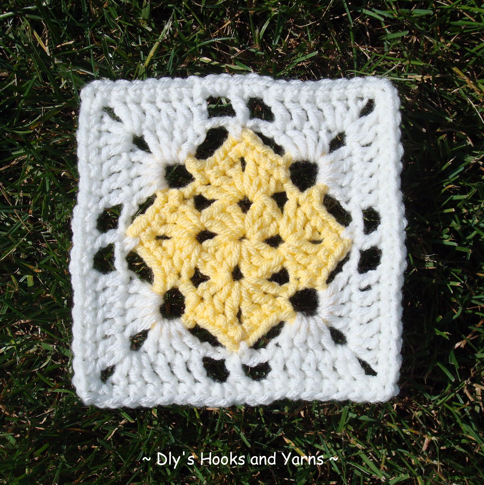 Dly's Hooks and Yarns square in a square