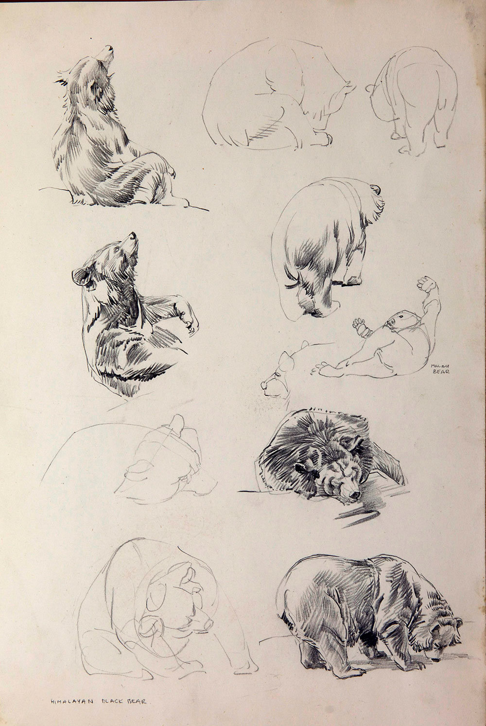 Raymond Sheppard exhibition June 16th June 30th 2013