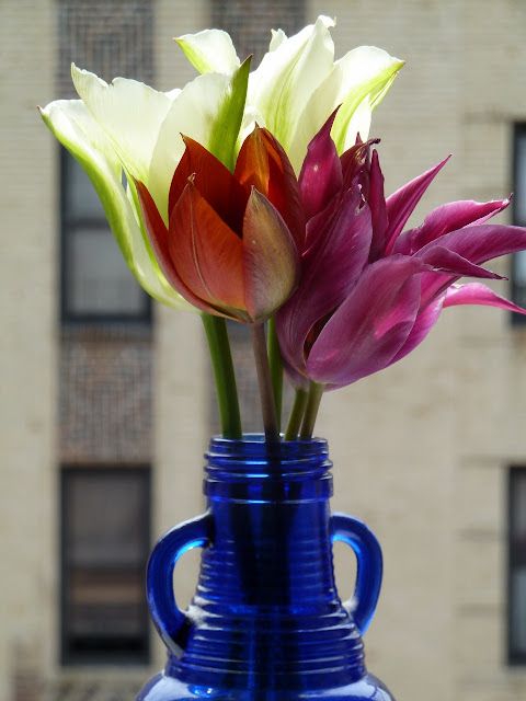 Brooklyn Grown tulip bouquet in window