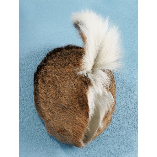 weird stuff on amazon deer rear