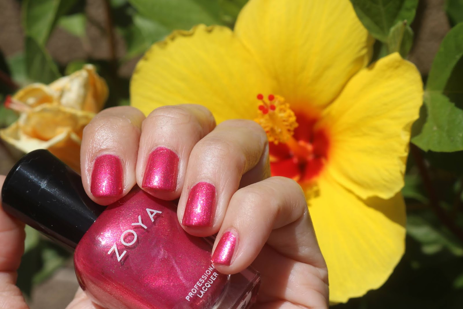 Zoya Robbie