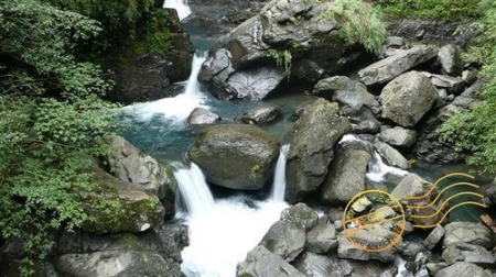 三峽旅遊景點|滿月圓森林遊樂區
