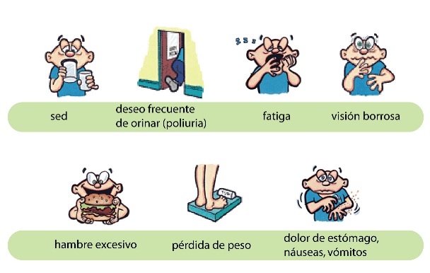 contribuyentes a la diabetes tipo 2