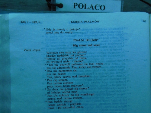 O'Cebreiro, Galicja, Alto San Roque, Alto do Polo, Fonfria, Camino, Jola Stępień O'Cebreiro, Galicja, Alto San Roque, Alto do Polo, Fonfria, Camino, Jola Stępień