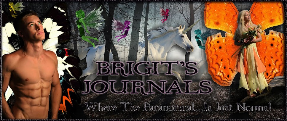 Brigit's Journals