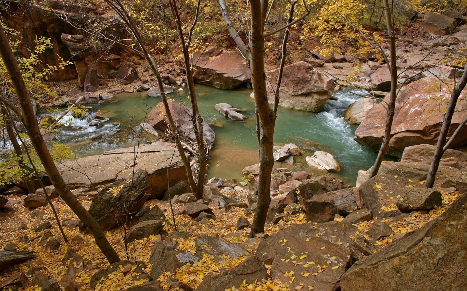 Collection HD Wallpapers | widescreen wallpaper | widescreen wallpaper