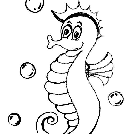 Contoh Gambar Sketsa Mewarnai Binatang Laut Kataucap