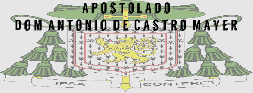  Apostolado Dom Antônio de Castro Mayer 