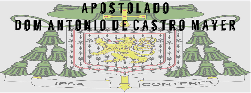 Apostolado Dom Antônio de Castro Mayer Via Sacra de Dom Antônio de