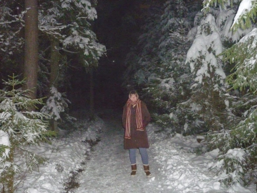 Dorikult Sylvia im Wald