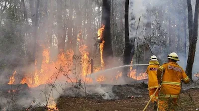 Bencana alam Kebakaran hutan - berbagaireviews.com