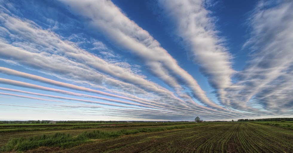 Sebutkan 10 Asmaul Husna Beserta Artinya Inilah Jawabannya