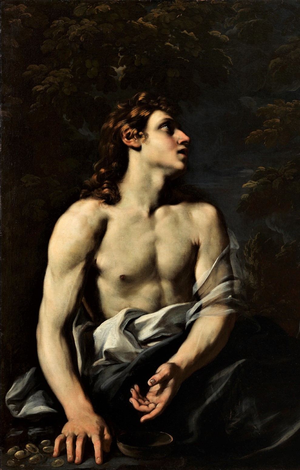 эндимион. гиацинтоидес испанский блу. эндимион. эндимион. эндимион мифология.