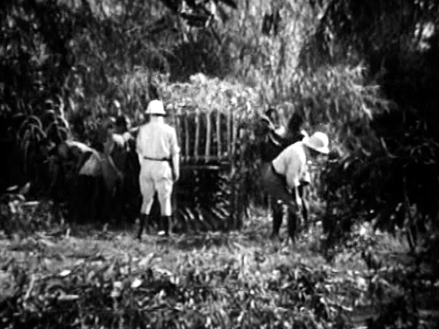 13 THE SAVAGE GIRL / Commonwealth Pictures 1932