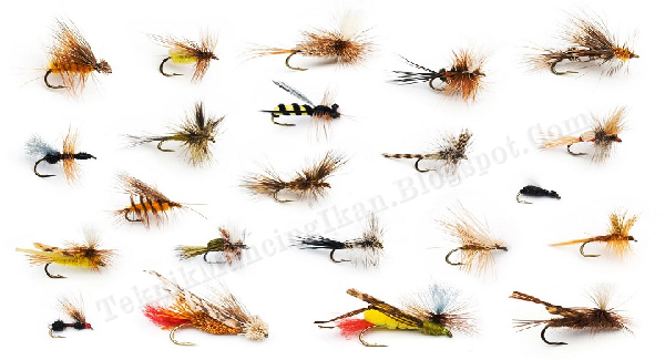 Umpan Mancing Fly Fishing Umpan Mancing Fly Fishing