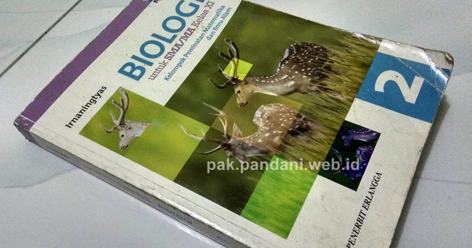 Soal Uji Kompetensi Materi Sistem Reproduksi Buku Erlangga K 13 Untuk Kelas Xi Dan Pembahasannya Blog Pak Pandani