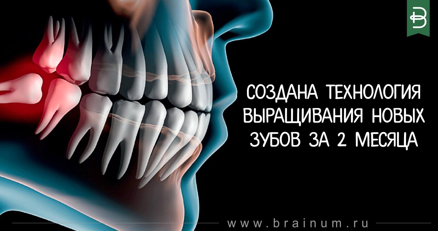 Может ли вырасти новый зуб. Хирургическая стоматология зубов боль.