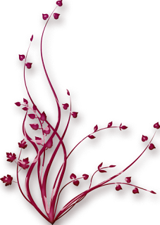 png%2Bsus%2Bflatcast%2Bbiz%2Bdert%2Bzengini%2B%2528218%2529.png