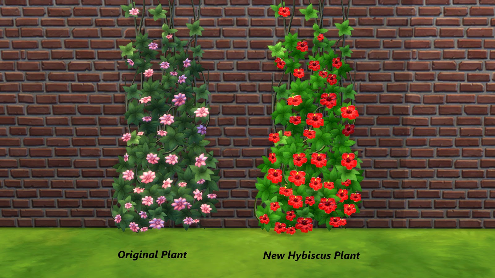 Sims 4 CC's The Best Flowers of the Tropics Hibiscus by Snowhaze