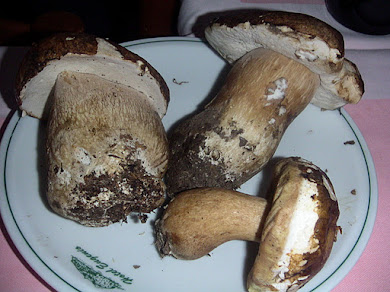 Porcini giganti