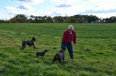 Grandpa, Duchess, Misty Blue and Onyx Photo by Trisha Field