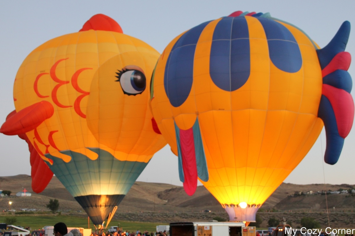 My Cozy Corner Hot Air Balloon Race!