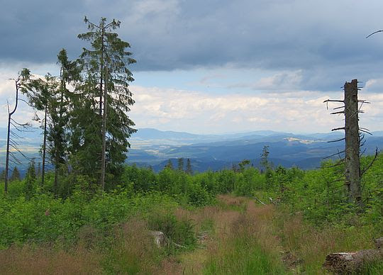 Panorama ze stoków Murania. Panorama ze stoków Murania.