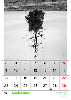 Calendario 2019 fotografia,diseño,calendario,blanco,negro,arte,serie,limites