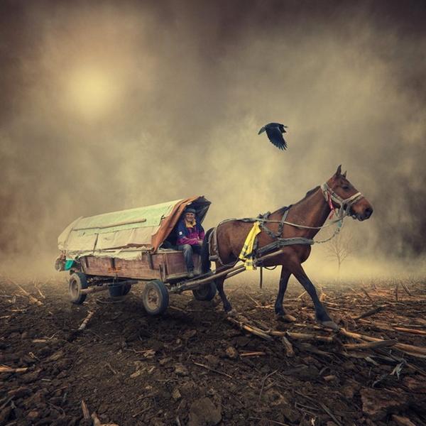 photography art photography art
