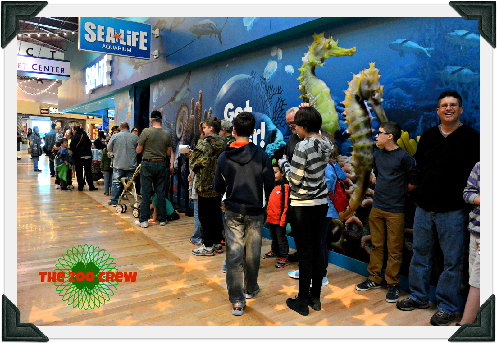 Homeschooling in Park with The Zoo Crew SEA LIFE Aquarium Field Trip
