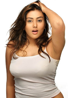 Namitha Hot Indian Actress, Tamil Hot Aunty Namitha Vankawala 19