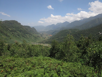 Sapa