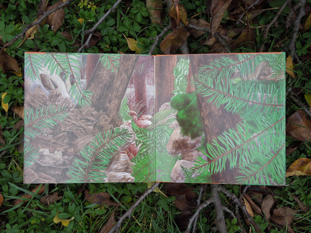 schovavana v prirode lesy a haje