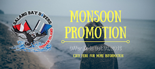Promo1