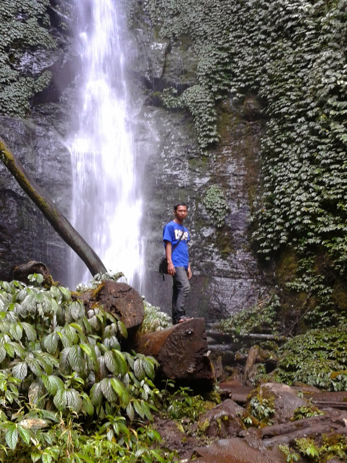 62+ Gambar Air Terjun Coban Rais Terlihat Keren 62+ Gambar Air Terjun Coban Rais Terlihat Keren
