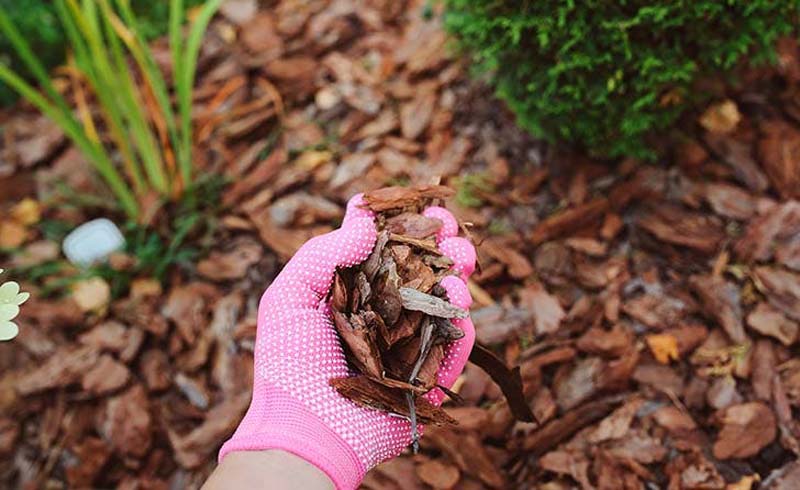 GETTING LAZY WITH MULCHING
