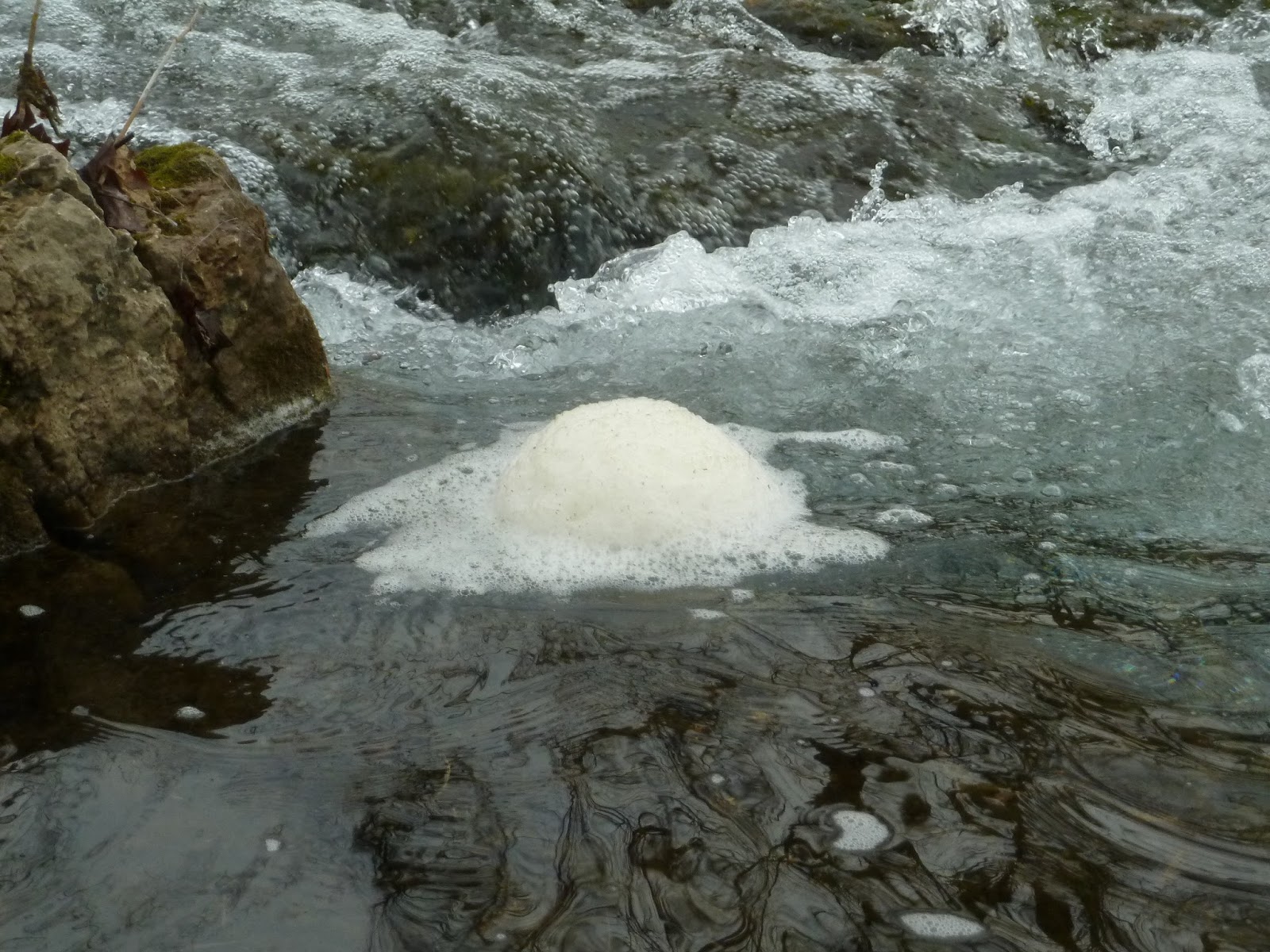 Springfield Plateau Foam on the Water