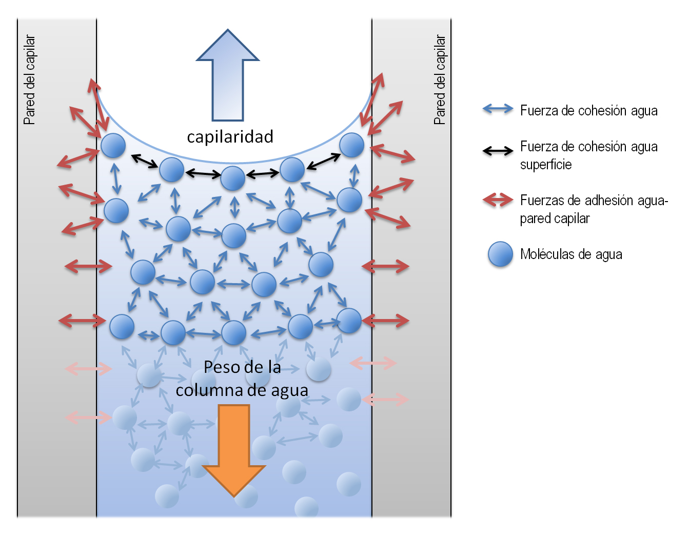 FÍSICA 2 INTRODUCCION A LA HIDRAULICA
