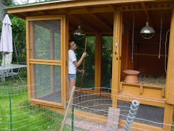 coop chicken build own blueprints