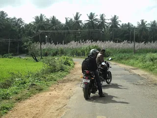 Close-up of the bikes parked before the morning ride.
