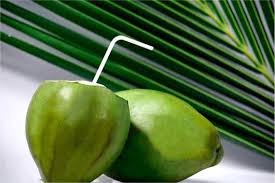 coconut water(naryal pani) health benefits in urdu