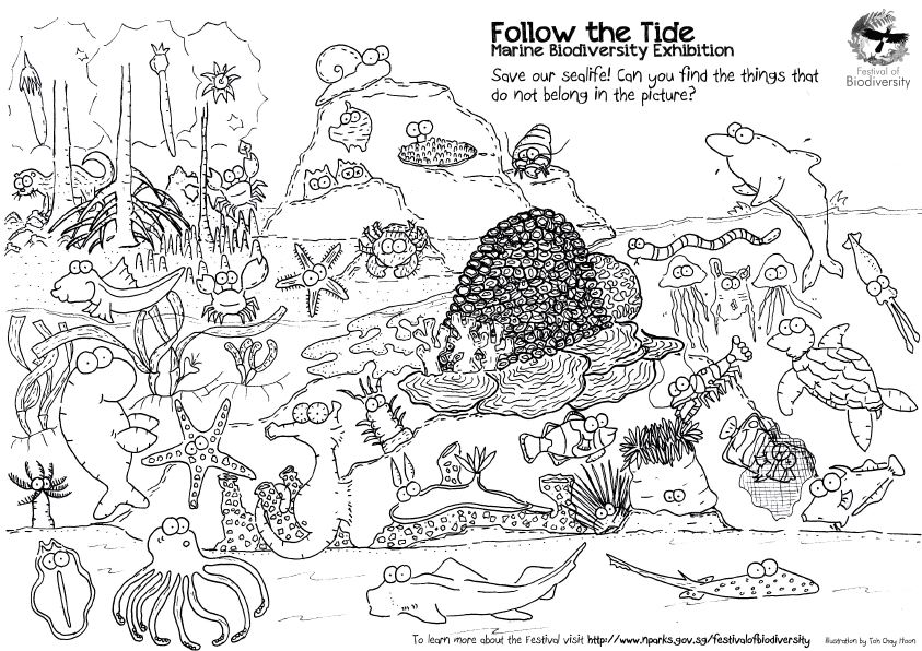 ocean ecosystem coloring pages free - photo #8