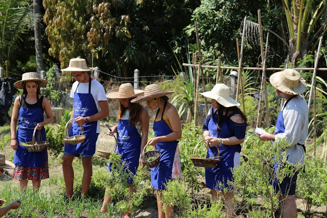 Thai Secret Cooking Class Photos. March 12-2017. Pa Phai, San Sai District, Chiang Mai, Thailand.